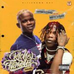 Segestino Ft Seyi Vibez – Rich Famous