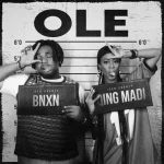 OLE Song by Qing Madi Ft. BNXN fka Buju