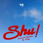 Shu! Song by Diamond Platnumz Ft. Chley