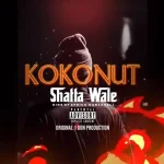 Kokonut Song by Shatta Wale
