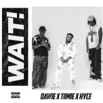 Dawie – Wait Ft. Hyce Tiimie