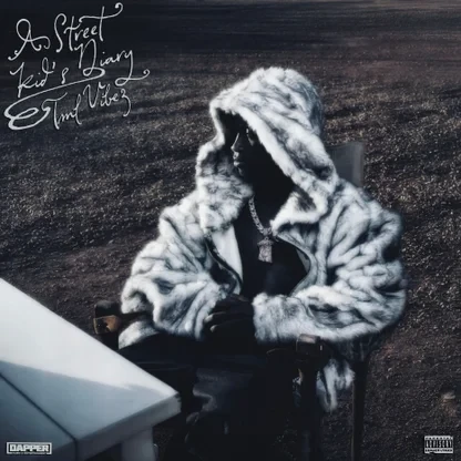 Tml Vibez – A Street Kid's Diary (Album)
