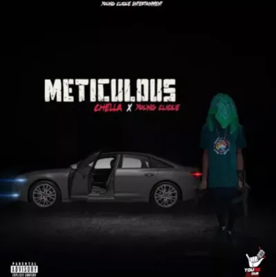 Chella – Meticulous Ft. Young Clique
